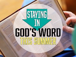 
Summer Bible study